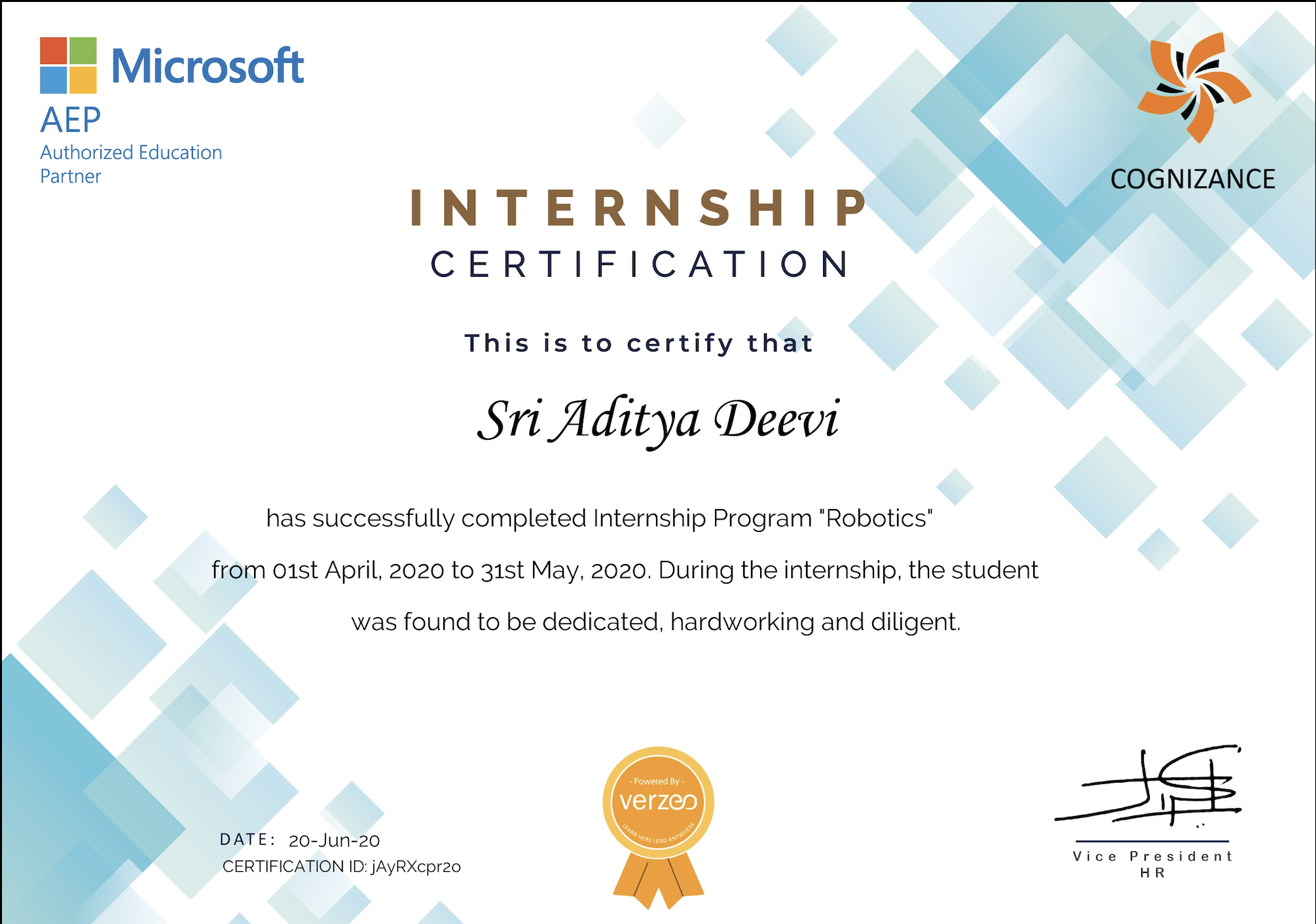 Robotics Internship